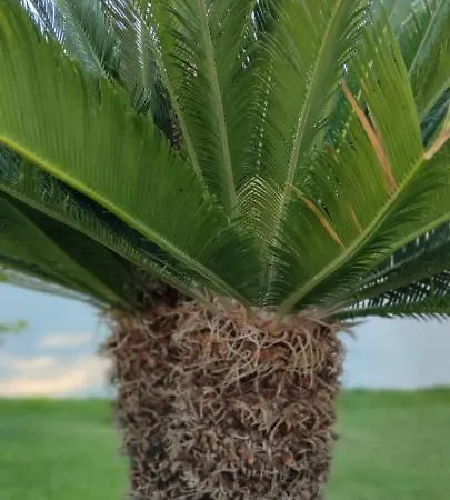 La Bella Dimora 3* Отранто